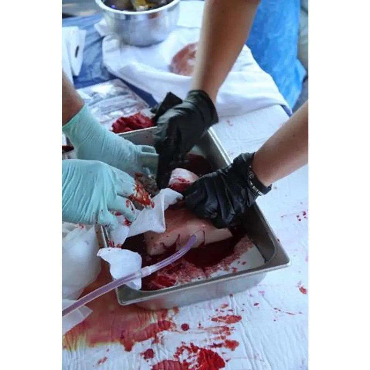 Bleeding Control Instructor's Kit w/GSW and LAC Trainer - Image 4